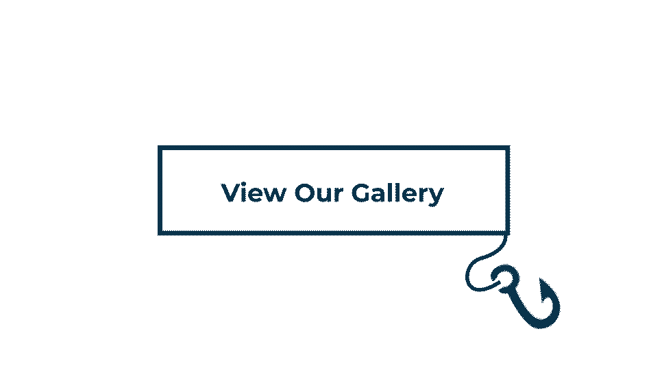 View our gallery button animation with fish.