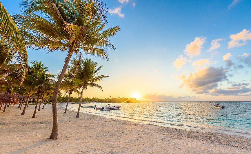 Beach with water and palm trees in background.