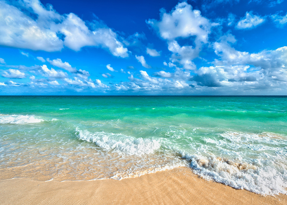 Beach with ocean water and blue sky in background.